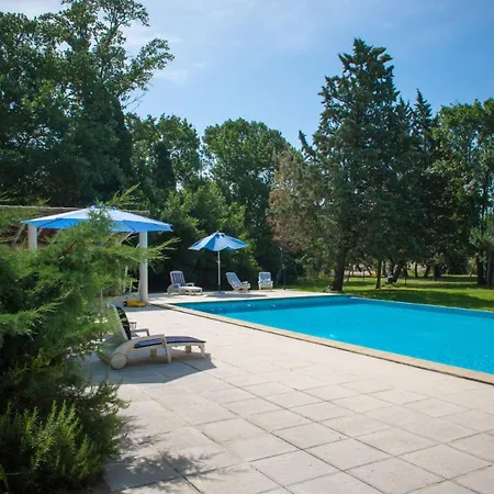 Holiday home Domaine Le Trabet - Palmier Moussoulens