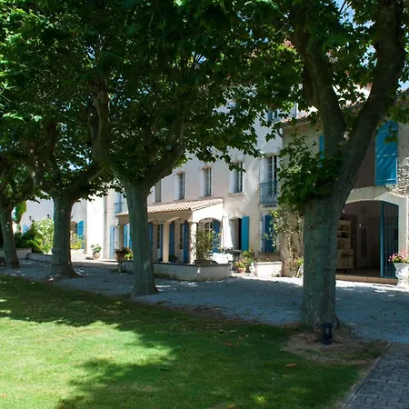 Domaine Le Trabet - Palmier * Moussoulens