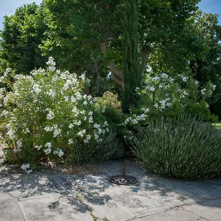 Domaine Le Trabet - Palmier Holiday home