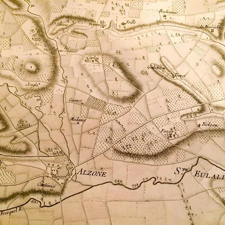 Domaine Le Trabet - Palmier
